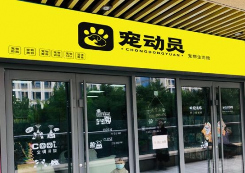 宠动员邀你一起掘金万亿级宠物行业市场 寄卖服务的蓝海机遇